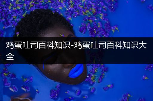 鸡蛋吐司百科知识-鸡蛋吐司百科知识大全