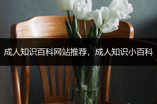 成人知识百科网站推荐，成人知识小百科