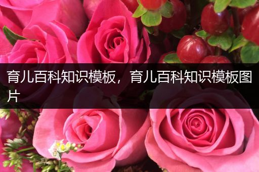 育儿百科知识模板，育儿百科知识模板图片